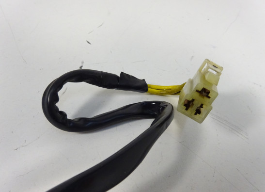 Dynamo Ducati monster 796