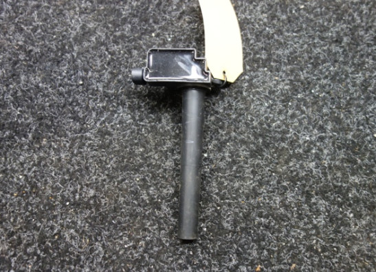 Bobine Harley Davidson Pan America