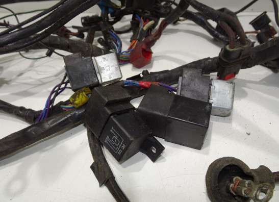 Kabelbaum Triumph Tiger 900