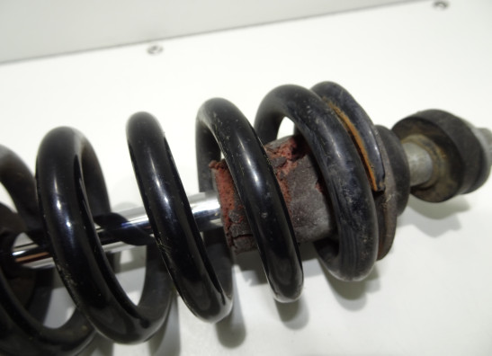 Stossdämpfer vorne BMW R 1200 GS