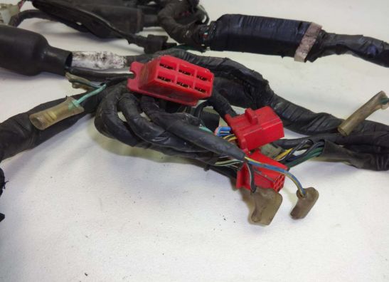 Kabelboom Honda CBR 1000 F