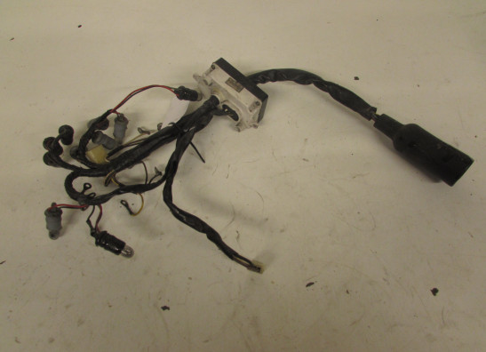 Kabelbaum vorne Kawasaki GTR 1000