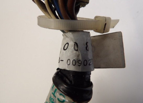 Sicherungkasten Triumph Trophy 900