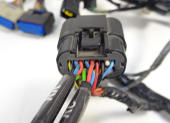 Wire Harness Kawasaki ZX 10 R