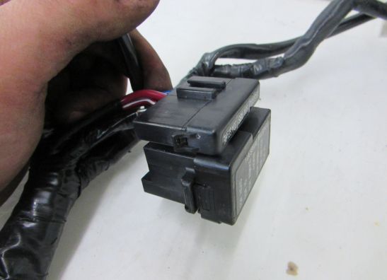 Kabelbaum Kawasaki Z 300