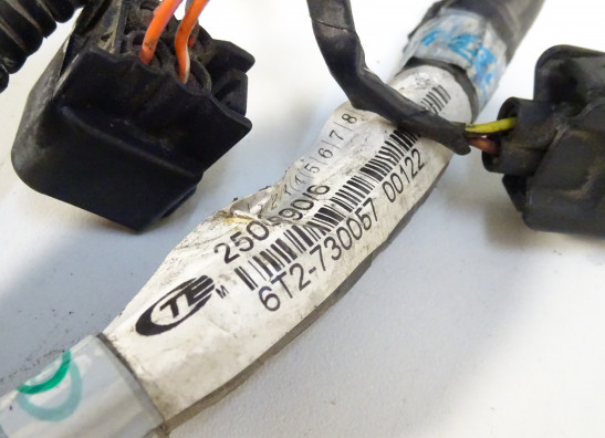 Kabelboom Triumph Tiger 1050